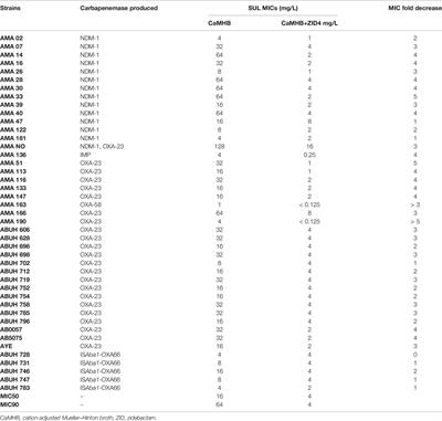 Zidebactam restores sulbactam susceptibility against carbapenem-resistant Acinetobacter baumannii isolates